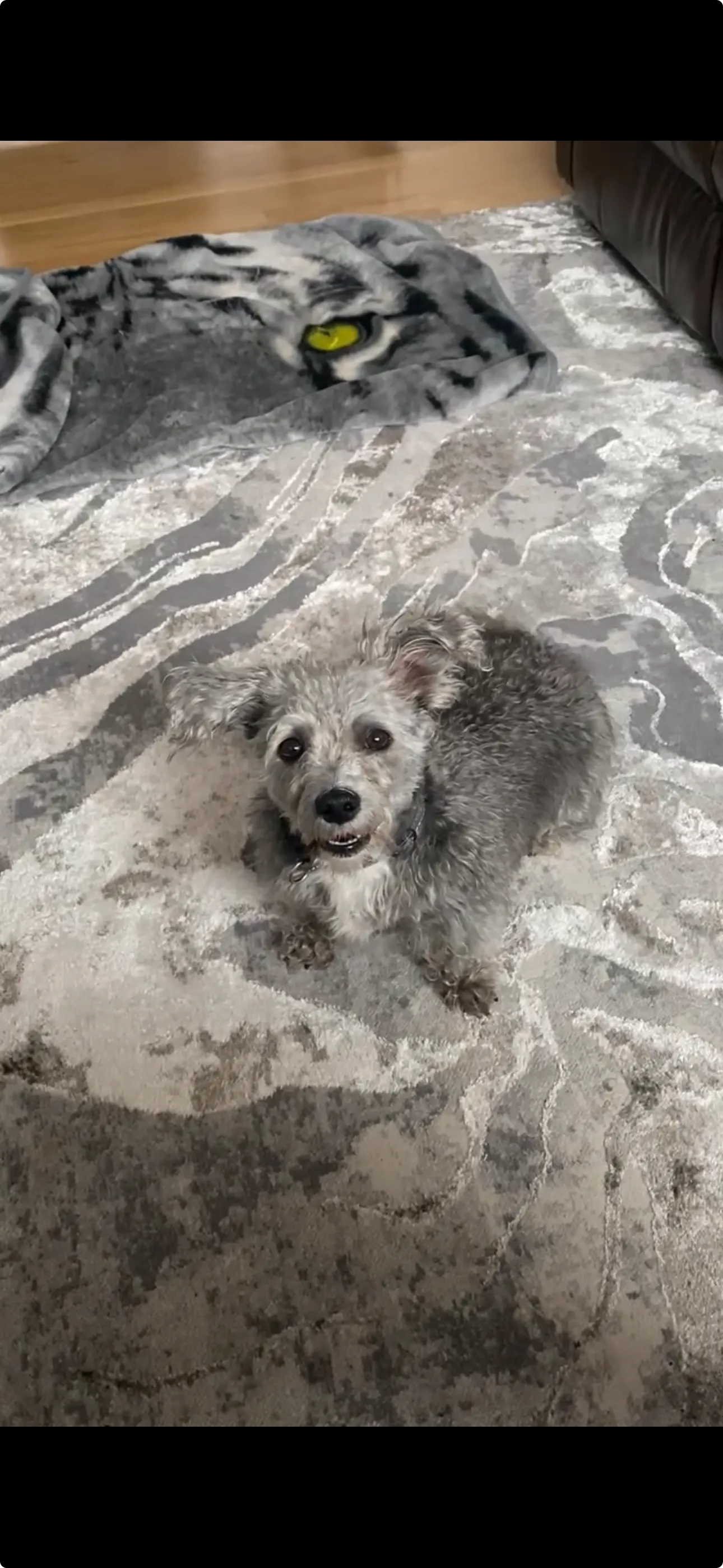 friend mojo 3