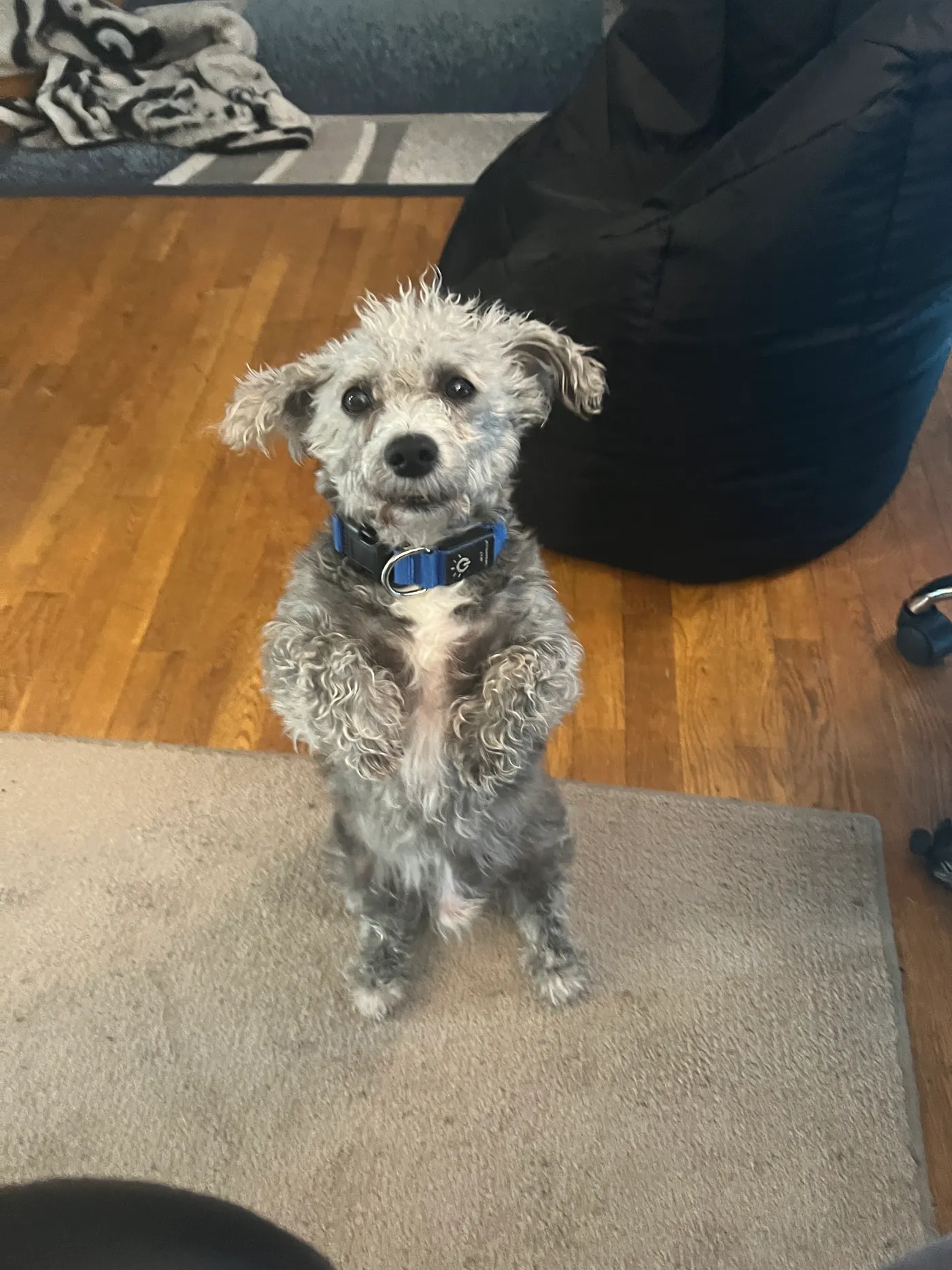 friend mojo